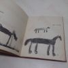 Picture of How to Draw Horses