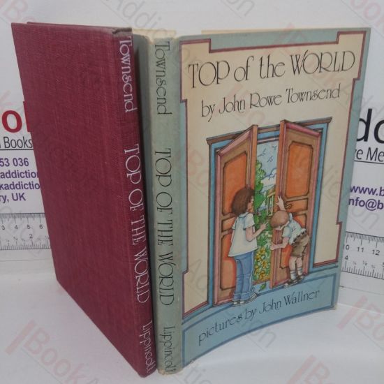 Picture of Top of the World