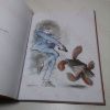 Picture of Slightly Foxed - But Still Desirable: Ronald Searle's Wicked World of Book Collecting