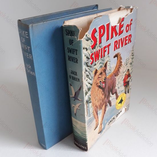 Picture of Spike of Swift River