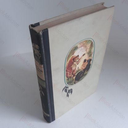 Picture of The Jungle Book (Illustrated Junior Library)