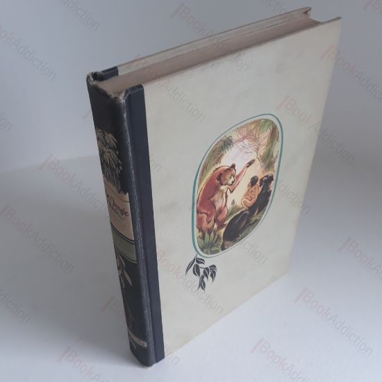 Picture of The Jungle Book (Illustrated Junior Library)
