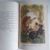 Picture of The Jungle Book (Illustrated Junior Library)