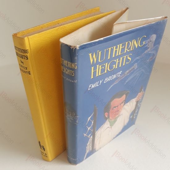 Picture of An Old-Fashioned Girl (Rainbow Classics Series)