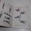 Picture of Larobok I Gymnastik, Part III, Volume 5, Bildatlas [Illustrated Gymnastics Textbook]