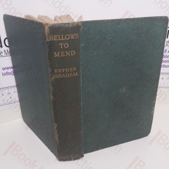 Picture of Bellows to Mend