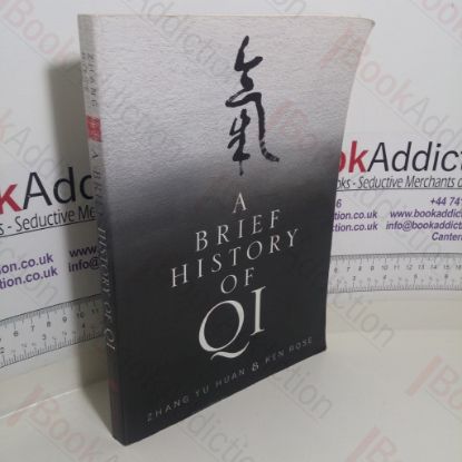 Picture of A Brief History of QI