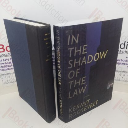Picture of In the Shadow of the Law