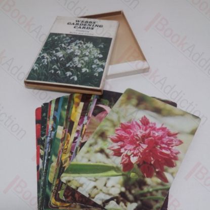 Picture of Webbs' Gardening Cards: Bulbs and Corms