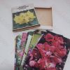 Picture of Webbs' Gardening Cards: Shrubs - Flowering and Ornamental