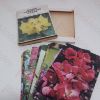 Picture of Webbs' Gardening Cards: Shrubs - Flowering and Ornamental
