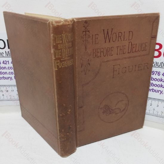 Picture of The World Before the Deluge