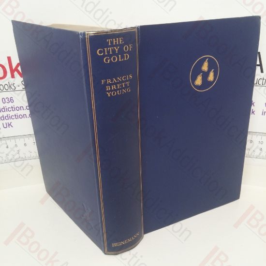 Picture of The City of Gold