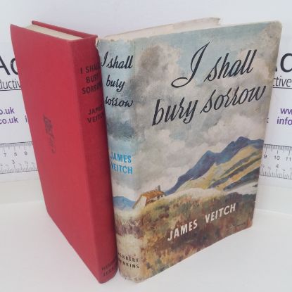 Picture of I Shall Bury Sorrow