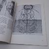 Picture of Robert Fludd:  Hermetic Philosopher and Surveyor of Two  Worlds