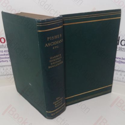 Picture of Hemichordata, Ascidians and Amphoxus, Fishes etc (The Cambridge Natural History series, Volume VII)