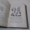 Picture of Hemichordata, Ascidians and Amphoxus, Fishes etc (The Cambridge Natural History series, Volume VII)