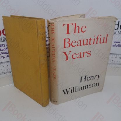 Picture of The Beautiful Years