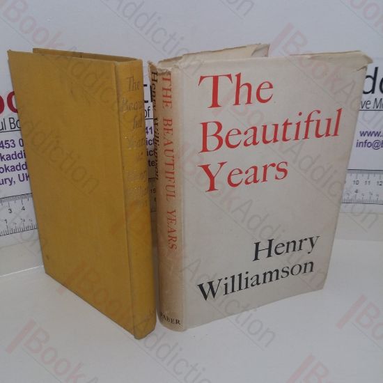 Picture of The Beautiful Years