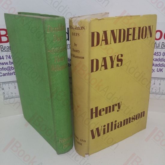 Picture of Dandelion Days