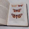 Picture of The Moths of the British Isles, First Series, Comprising the Families Shinidae to Noctuidae