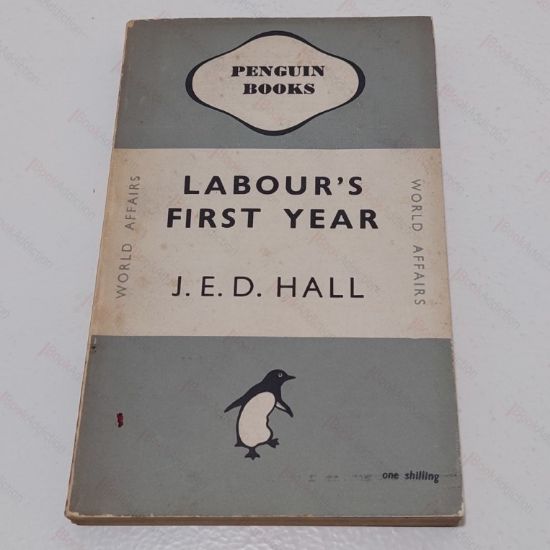 Picture of Labour's First Year