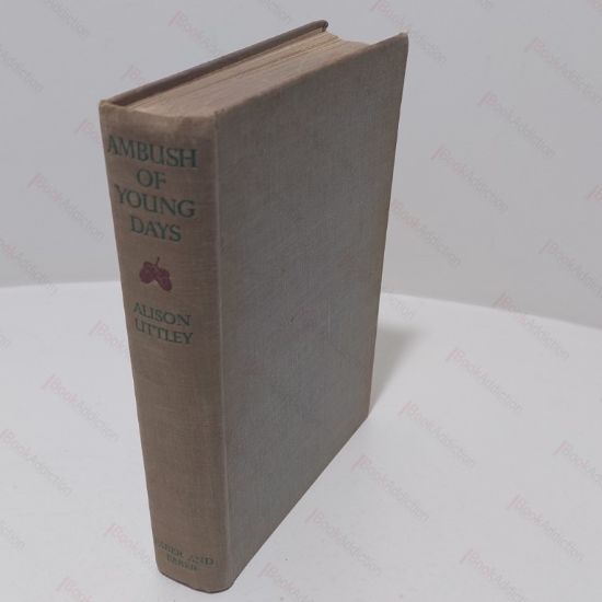 Picture of Ambush of Young Days