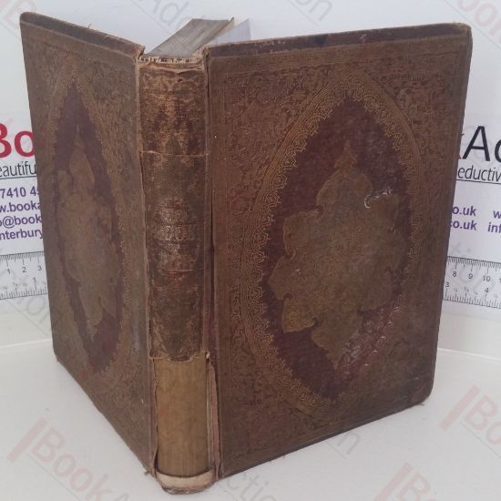 Picture of The Book of Job, With Fifty Engravings from Drawings by John Gilbert