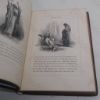 Picture of The Book of Job, With Fifty Engravings from Drawings by John Gilbert