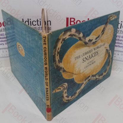 Picture of The Curious World of Snakes