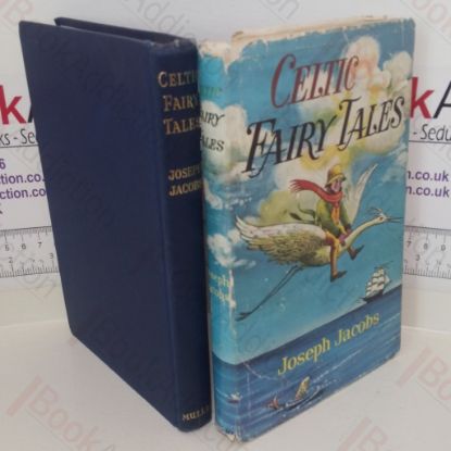 Picture of Celtic Fairy Tales