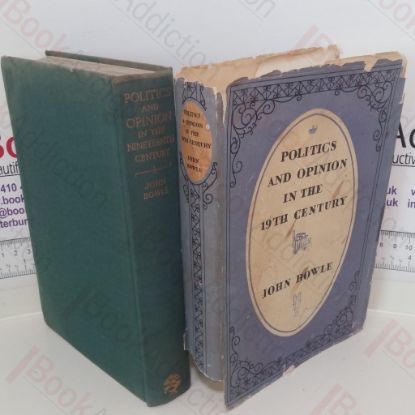 Picture of Politics and Opinion in the Nineteenth Century: An Historical Introduction