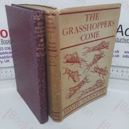 Picture of The Grasshoppers Come