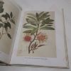 Picture of The Flowering of the Pacific, Being an Account of Joseph Banks' Travels in the South Seas and the Story of His Florilegium