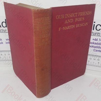 Picture of Our Insect Friends And Foes