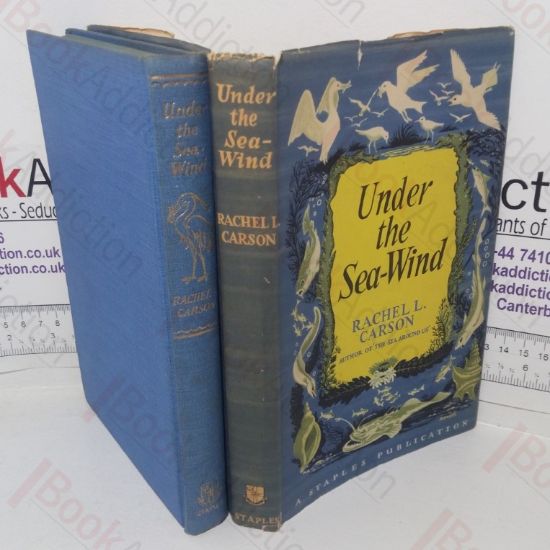 Picture of Under the Sea-Wind: A Naturalist's Picture of Ocean Life