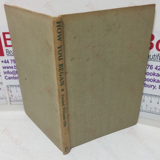 Picture of How You Began: A Child's Introduction to Biology