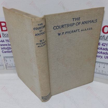 Picture of The Courtship of Animals