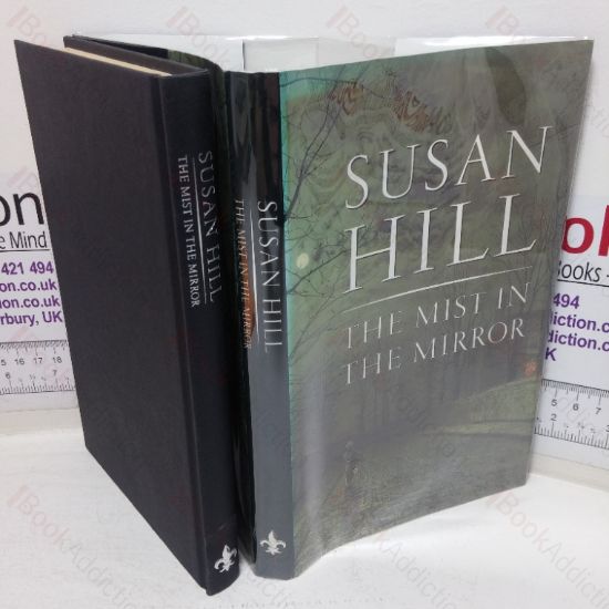 Picture of The Mist in the Mirror