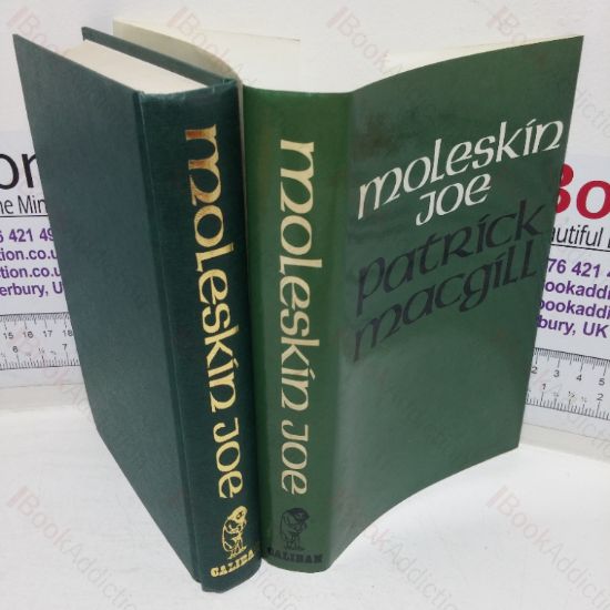 Picture of Moleskin Joe