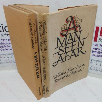 Picture of A Man Seen Afar