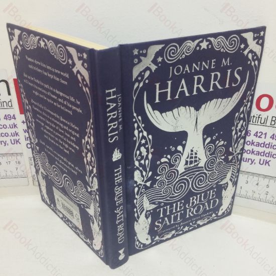 Picture of The Blue Salt Road