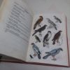 Picture of Field Guide to the Birds of Southern Africa