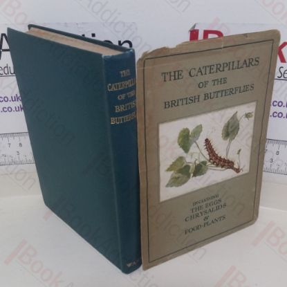 Picture of The Caterpillars of the British Butterflies, including the Eggs, Chrysalids and Food-Plants