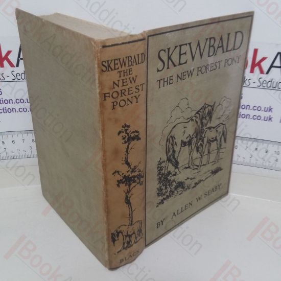 Picture of Skewbald: The New Forest Pony