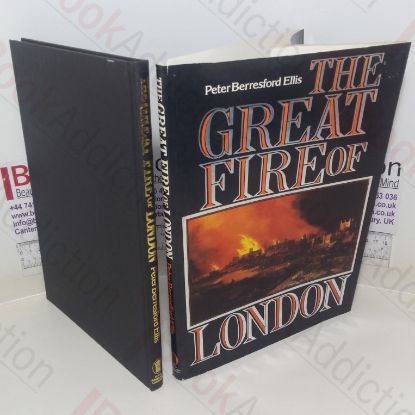 Picture of The Great Fire of London: An Illustrated Account
