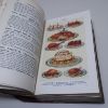 Picture of Mrs Beeton's Household Management: A Complete Cookery Book with Sections on Household Work, Servant's Duties, Labour Saving, Carving and Trussing, Table Decoration, the Art of 'Using Up', the Home Doctor, etc