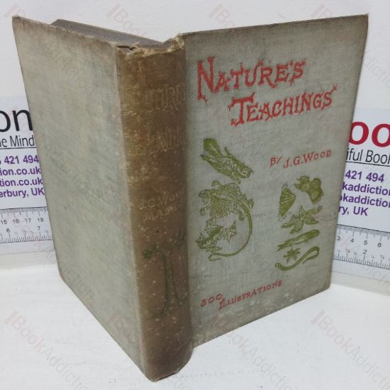 Picture of Nature's Teachings: Human Invention anticipated by Nature