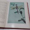 Picture of Dragonflies (The New Naturalist)