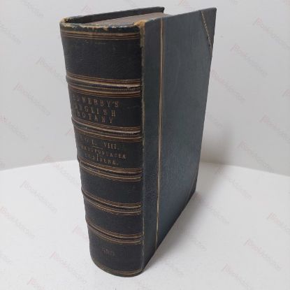 Picture of English Botany, Or Coloured Figures of British Plants [Sowerby's English Botany, Volume VIII, Chenopodiaceae to Coniferae]